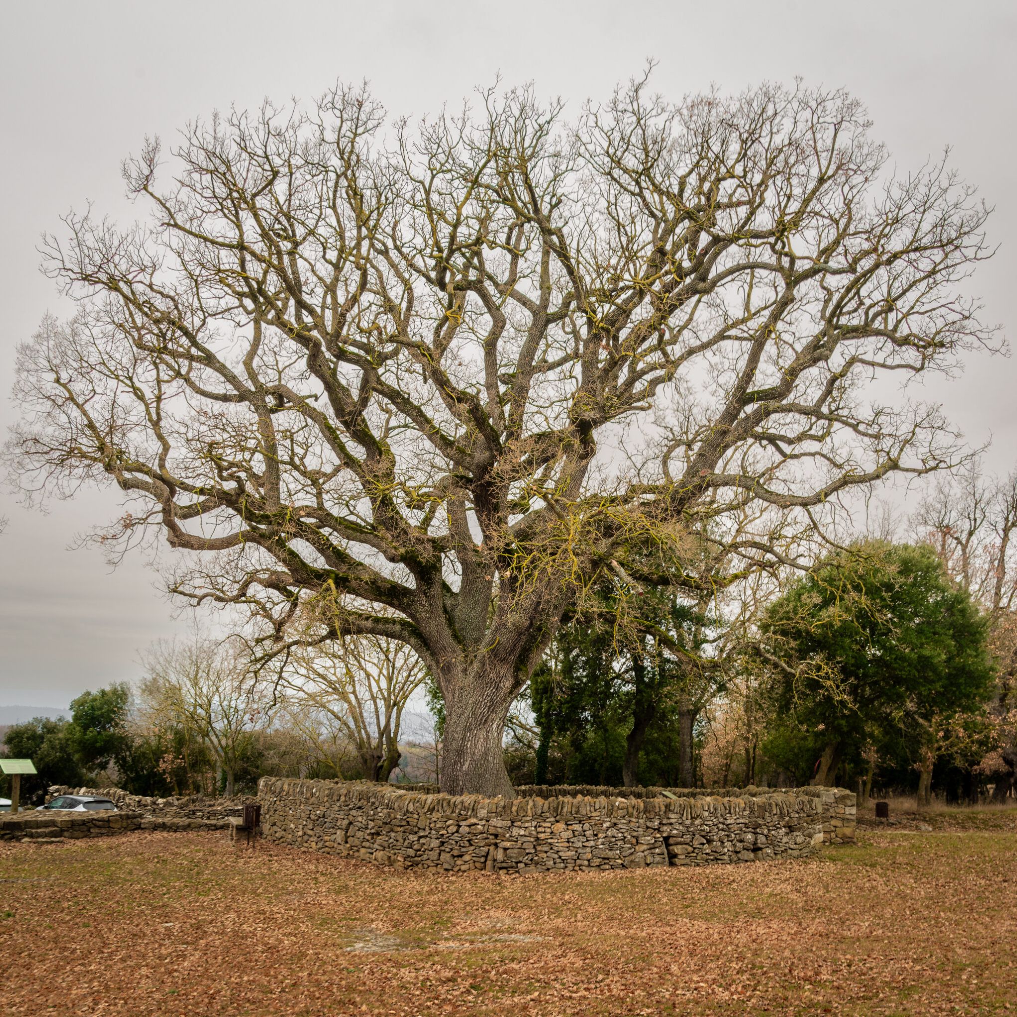Sta Coloma Saserra 220219 5463 HDR